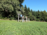 DSC00345