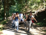 bild24