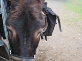 bild01