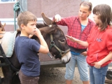 bild02