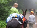 bild04