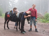 bild08