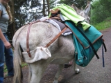 bild10