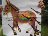 bild13