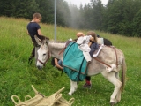 bild16