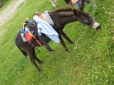 bild18