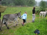 bild25
