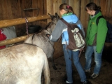 bild01