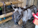 bild03