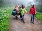 bild06