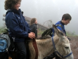 bild11