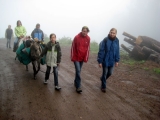 bild12