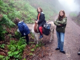bild13