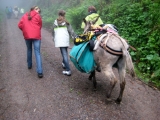 bild14