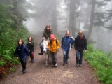 bild15