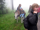 bild17