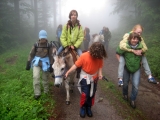 bild18