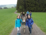 sam_0082