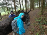 sam_0085
