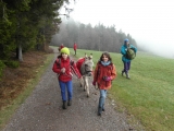 sam_0956