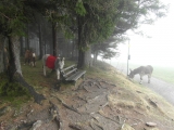 sam_0964