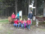 sam_0986