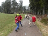 sam_0997