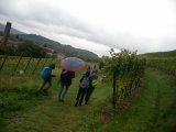 bild_04