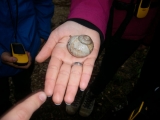 bild_09