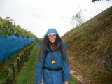 bild_12