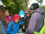 bild_14