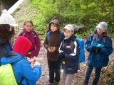 bild_15