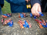 bild_19