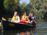 bild11