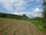 p1090958