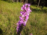 P1100593