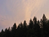 ZL180806_205627_20763