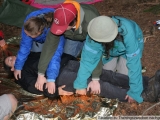 bild10