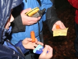 bild10