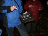 bild13