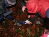 bild15