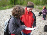 bild11