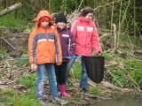 bild12