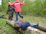 bild18