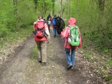 bild19