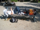 bild15