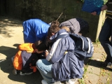 bild22