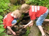 bild08