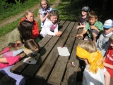 bild29