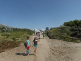 sam_0296